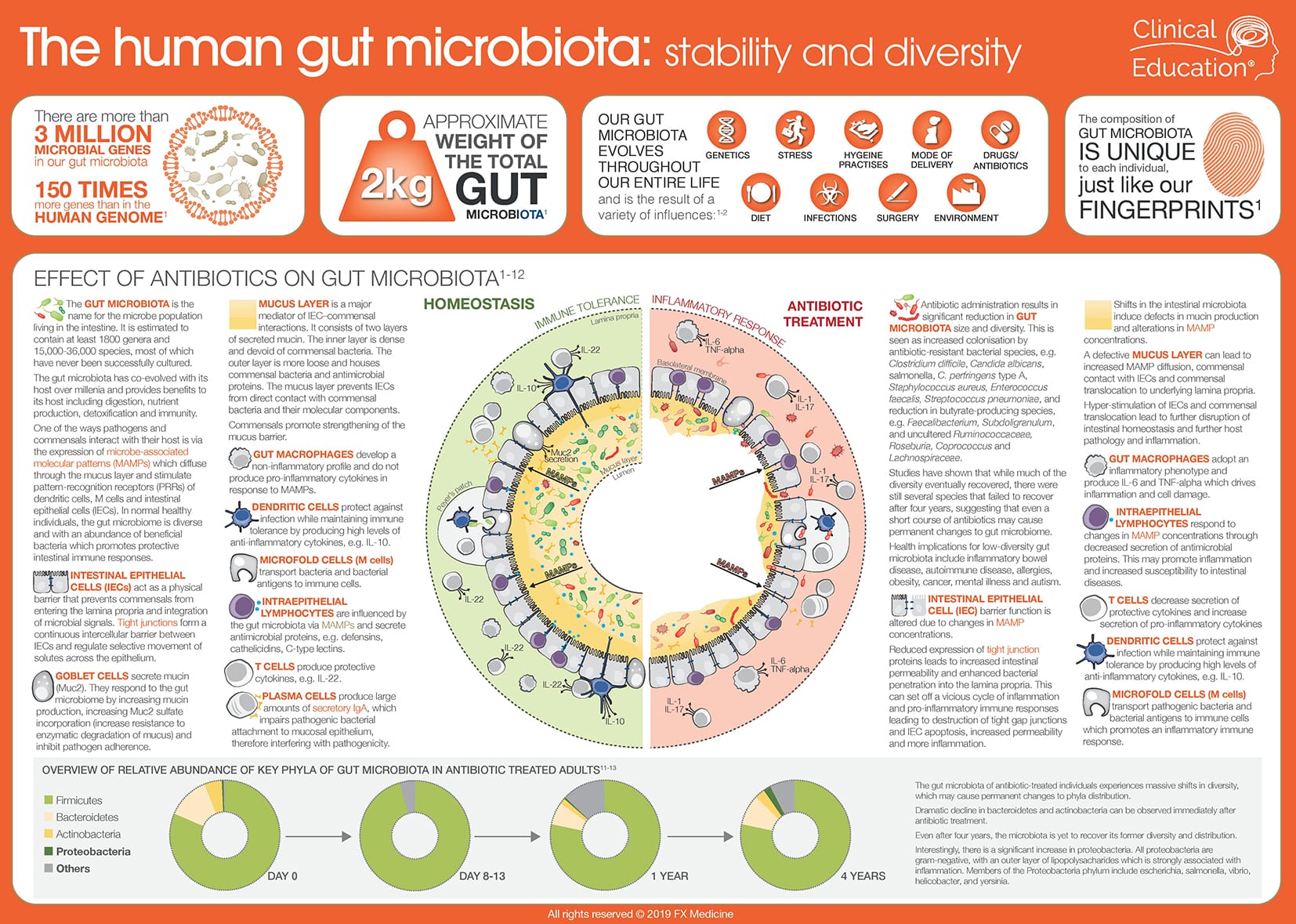 006 Human Gut Microbiota WEB-page-001