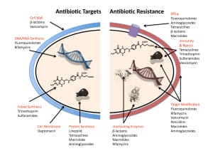 Antibiotics resistance and effects