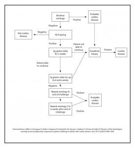 Coeliac-Challenge-Flow-Chart-2013