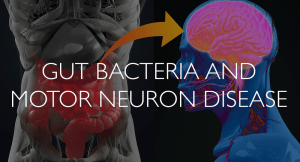 Gut-Bacteria-and-Motor-Neuron-Disease