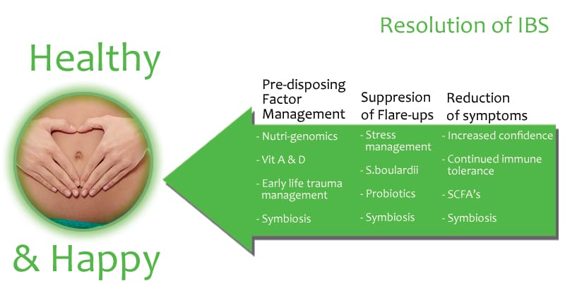 IBS-diagram-resolution