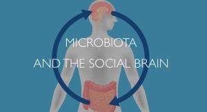 Microbiota and the social brain
