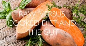 Raw vesrus cooked diet and the gut