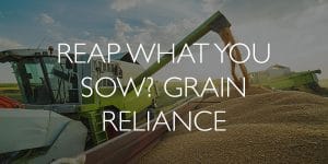 Reap-What-you-Sow--Grain-Reliance