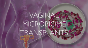 Vaginal-Microbiome-Transplants
