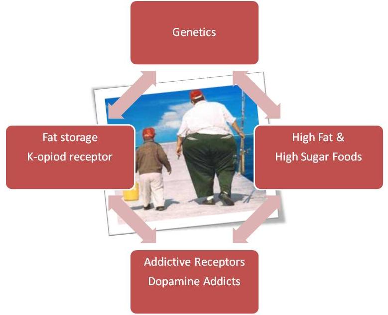 fat and genes